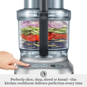 LCD Display & Electronic Controls - theelectricjuicer